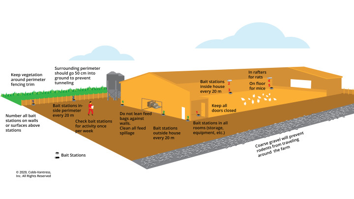 Figure 4.Rodent Infographic Asia 2