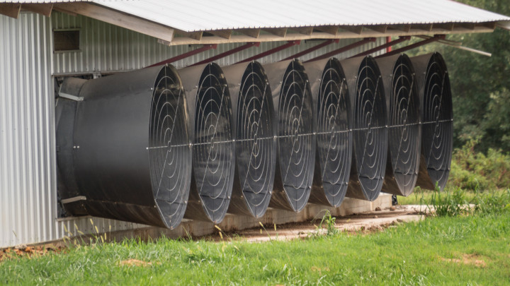 Tunnel Fans 3