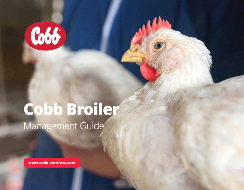 Expertise in New Cobb Broiler Management Guide Helps Unlock Flock Potential